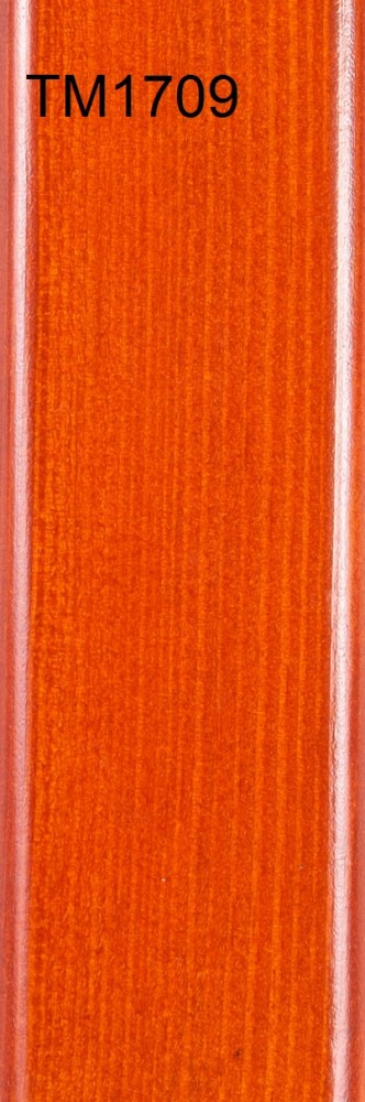 TM1709